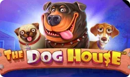 The Dog House (Pragmatic Play) on Fortune Clock